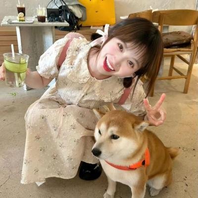 我们恋爱的履历 在线观看
