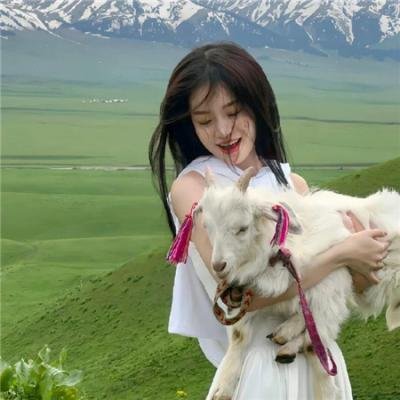 杂技小精灵 在线观看