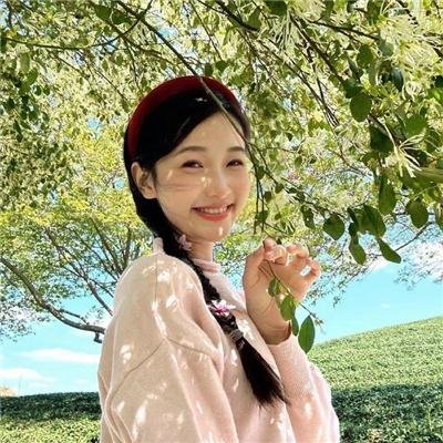 欢乐电视 在线观看